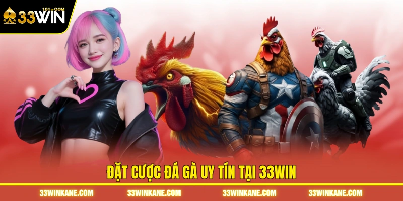 Đá Gà Uy Tín - Trải Nghiệm Những Trận Đấu Chất Lượng Cao 6 Đặt cược đá gà uy tín tại 33WIN