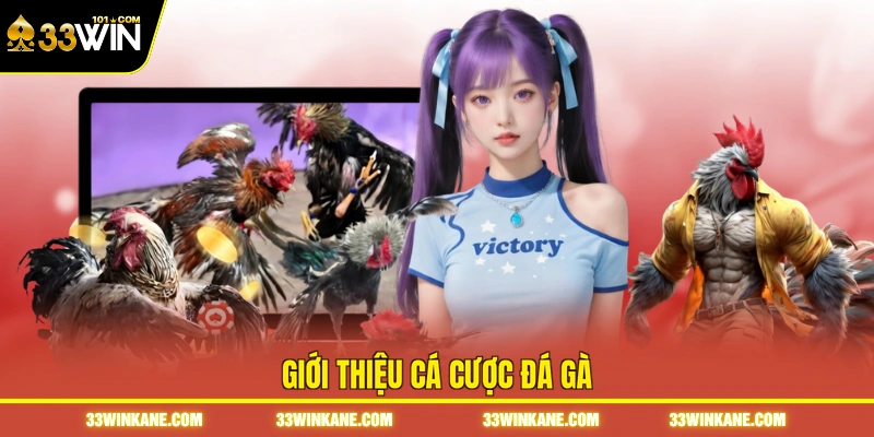 Đá Gà Online 33WIN - Sôi Động Với Những Trận Đấu Kịch Tính 5 Giới thiệu cá cược đá gà