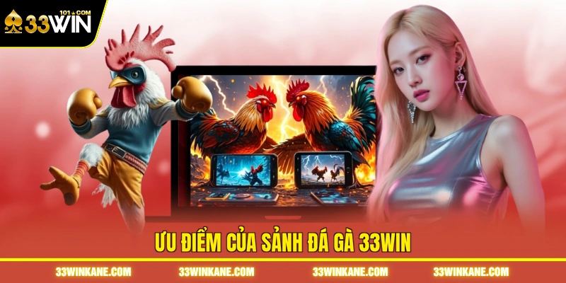 Ưu điểm của sảnh đá gà 33WIN