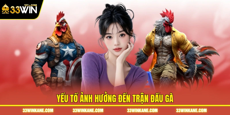 Đá Gà Đòn C1 - Theo Dõi Những Trận Đấu Đỉnh Cao tại 33WIN 7 Yếu tố ảnh hưởng đến trận đấu gà